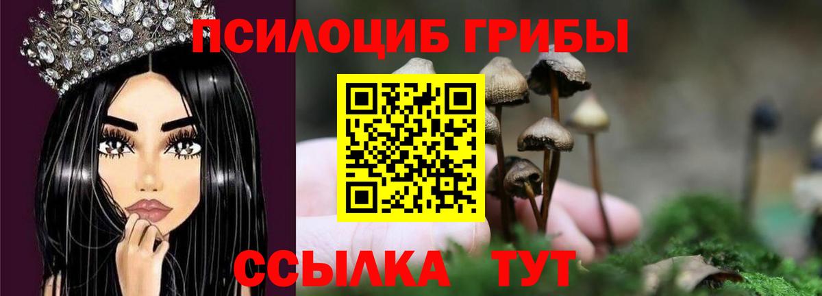 Галлюциногенные грибы MAGIC MUSHROOMS Архангельск